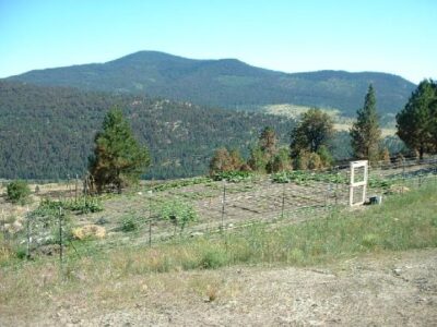 Living Off Grid – A Look at Sustainability Image